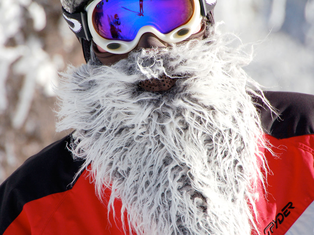 Beardski huismerk kopen in de aanbieding